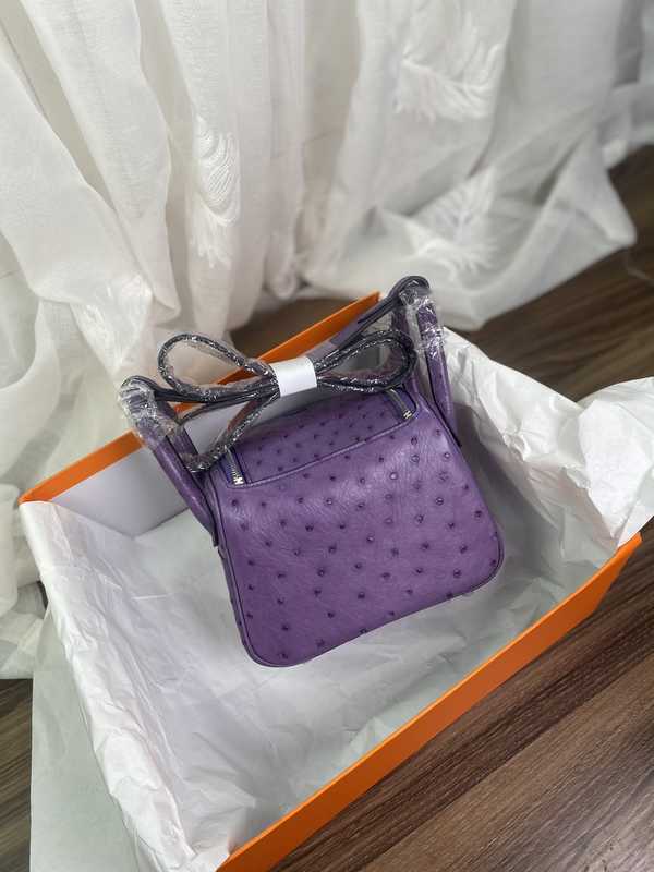 Ostrich Lindy 19 Ostrich Lindy 19