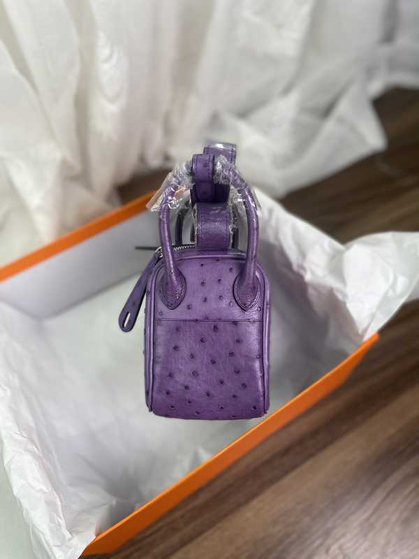 Ostrich Lindy 19 Ostrich Lindy 19