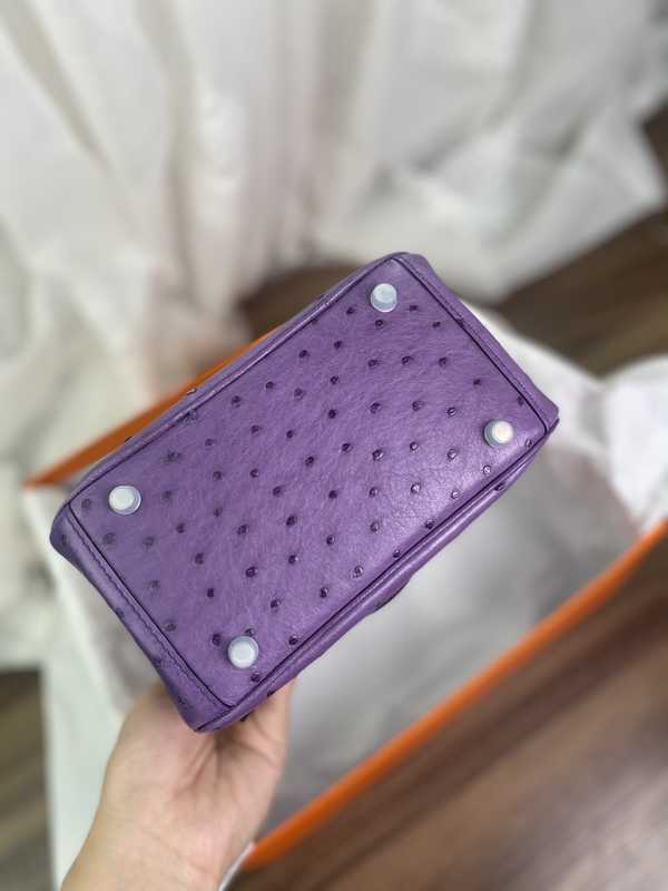 Ostrich Lindy 19 Ostrich Lindy 19