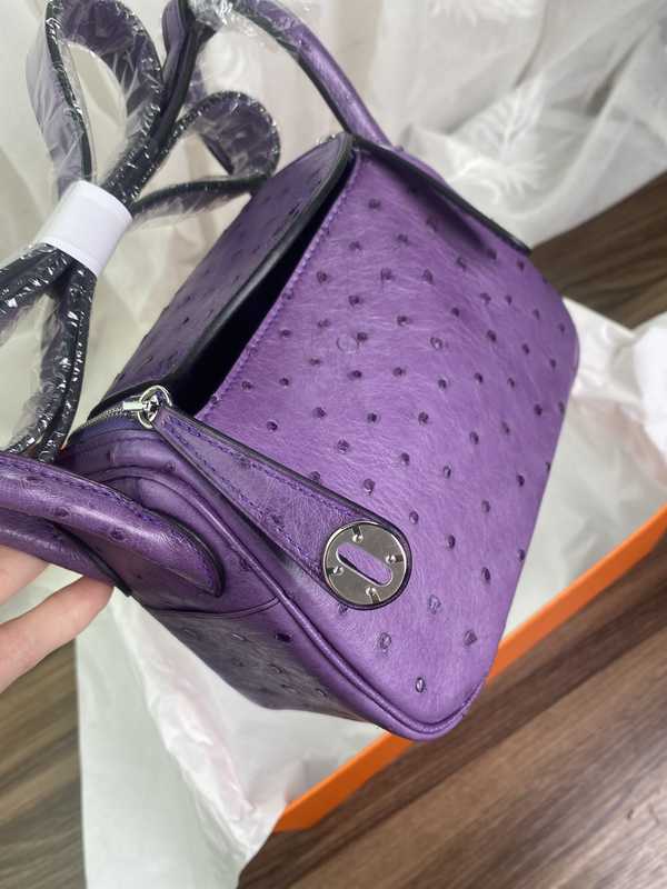 Ostrich Lindy 19 Ostrich Lindy 19