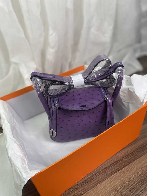 Ostrich Lindy 19 Ostrich Lindy 19