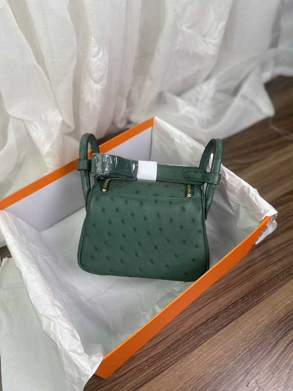 Ostrich Lindy 19 Ostrich Lindy 19