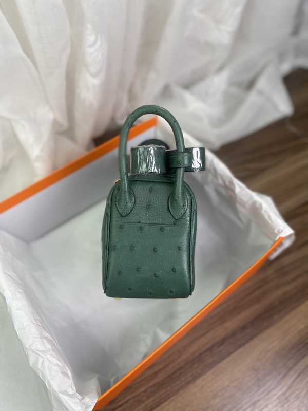 Ostrich Lindy 19 Ostrich Lindy 19