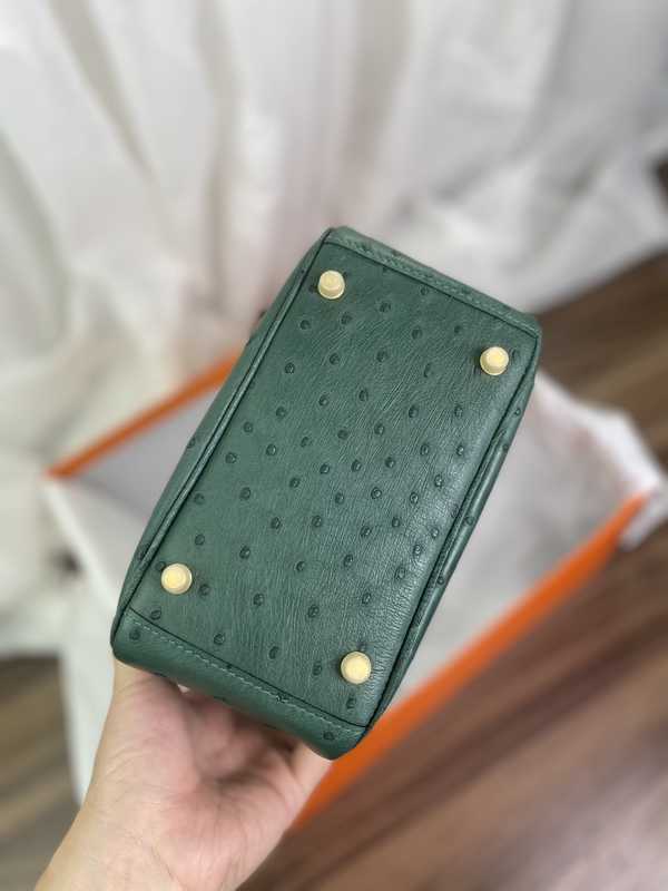 Ostrich Lindy 19 Ostrich Lindy 19