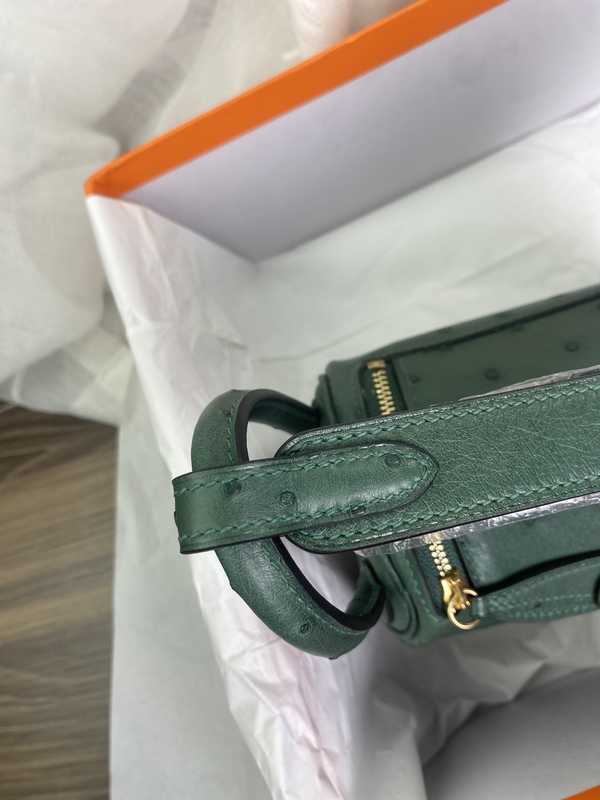 Ostrich Lindy 19 Ostrich Lindy 19