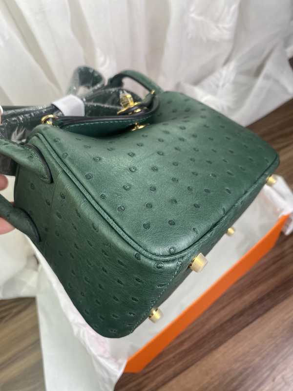 Ostrich Lindy 19 Ostrich Lindy 19