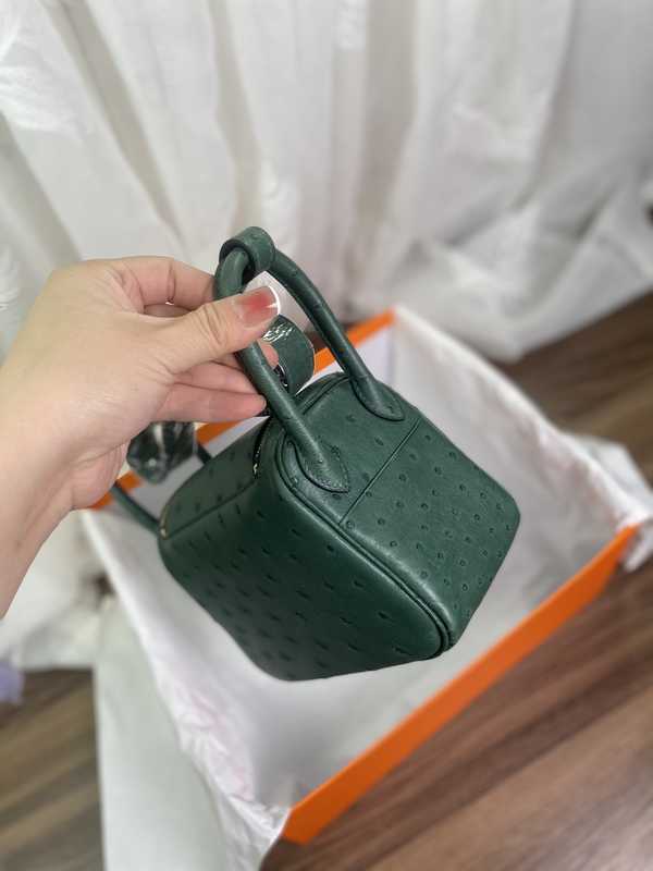 Ostrich Lindy 19 Ostrich Lindy 19