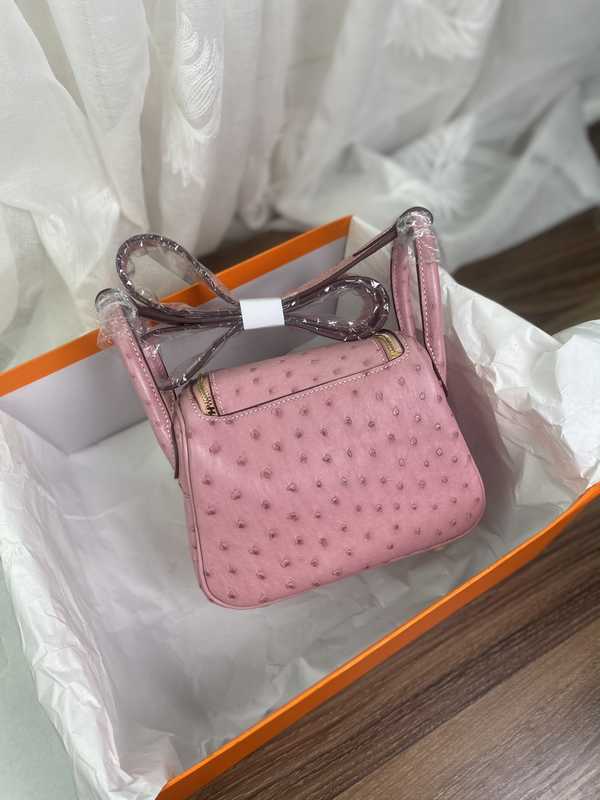 Ostrich Lindy 19 Ostrich Lindy 19