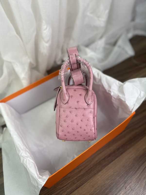 Ostrich Lindy 19 Ostrich Lindy 19