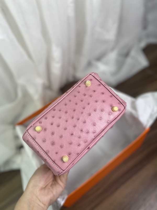 Ostrich Lindy 19 Ostrich Lindy 19