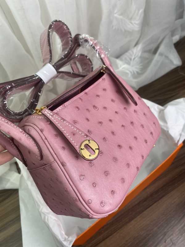 Ostrich Lindy 19 Ostrich Lindy 19