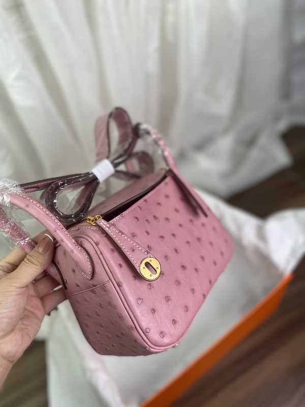 Ostrich Lindy 19 Ostrich Lindy 19