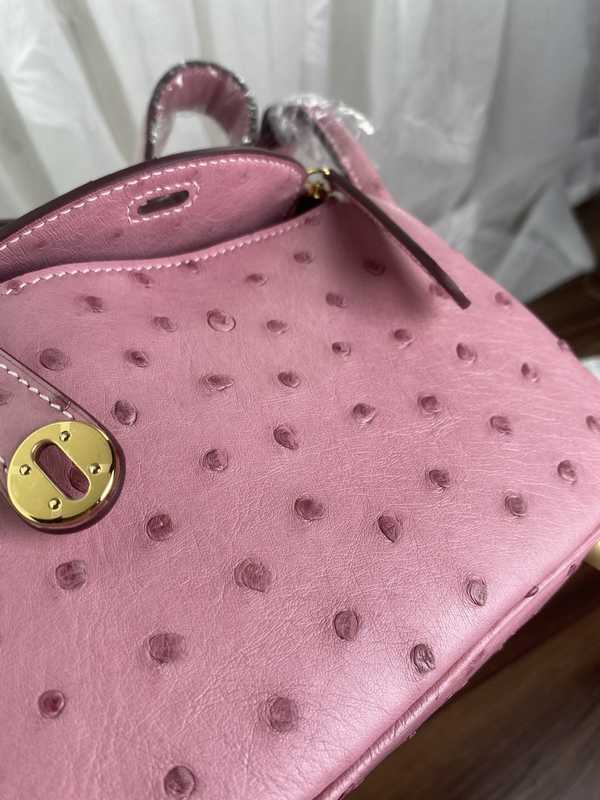 Ostrich Lindy 19 Ostrich Lindy 19