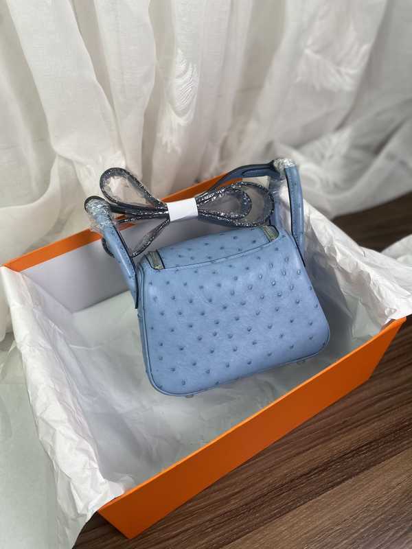 Ostrich Lindy 19 Ostrich Lindy 19