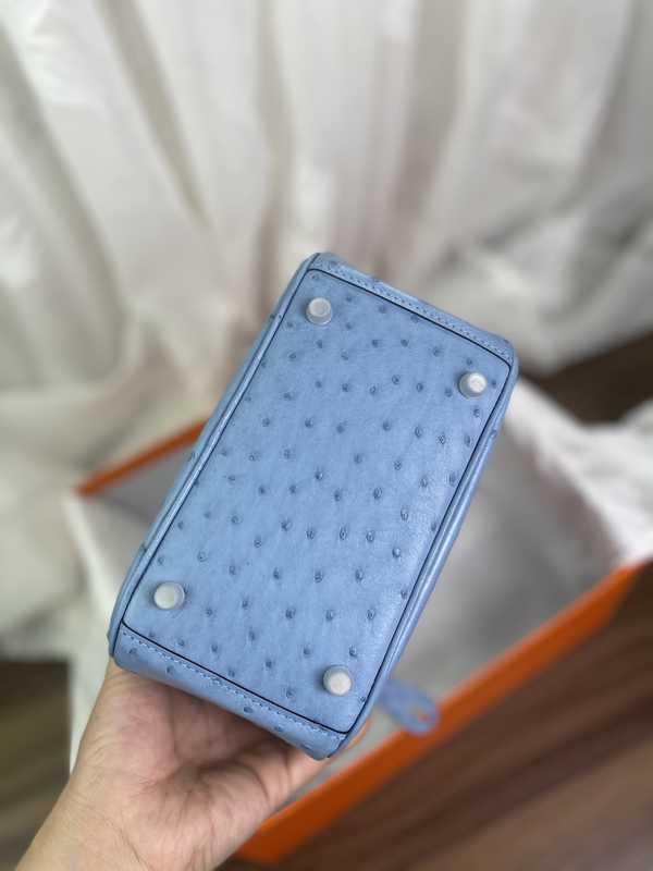 Ostrich Lindy 19 Ostrich Lindy 19