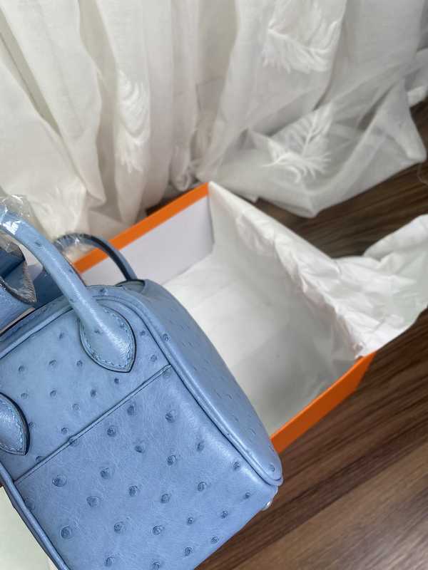 Ostrich Lindy 19 Ostrich Lindy 19