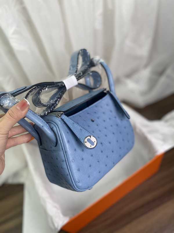 Ostrich Lindy 19 Ostrich Lindy 19