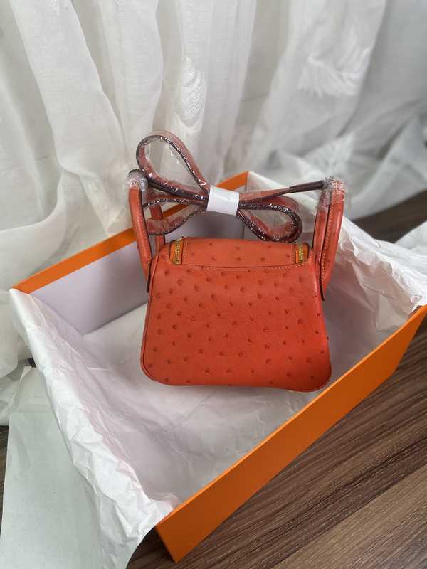 Ostrich Lindy 19 Ostrich Lindy 19