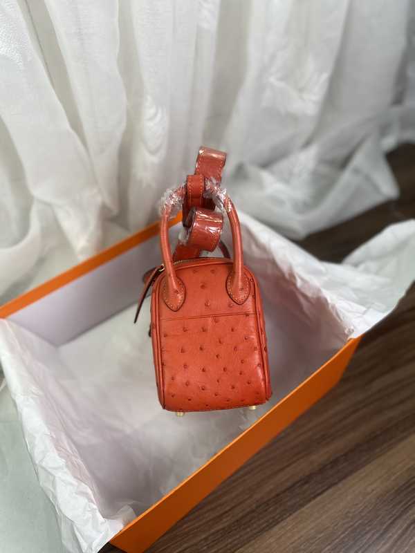 Ostrich Lindy 19 Ostrich Lindy 19