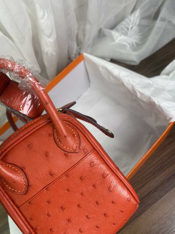 Ostrich Lindy 19 Ostrich Lindy 19
