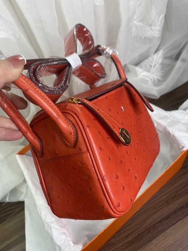 Ostrich Lindy 19 Ostrich Lindy 19