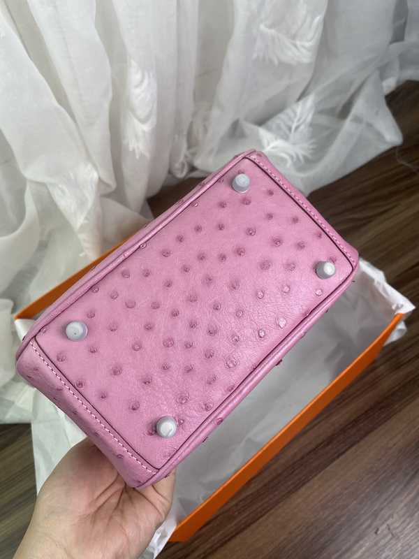 Ostrich Lindy 19 Ostrich Lindy 19