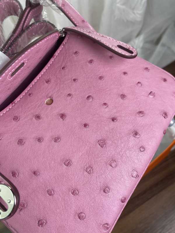Ostrich Lindy 19 Ostrich Lindy 19