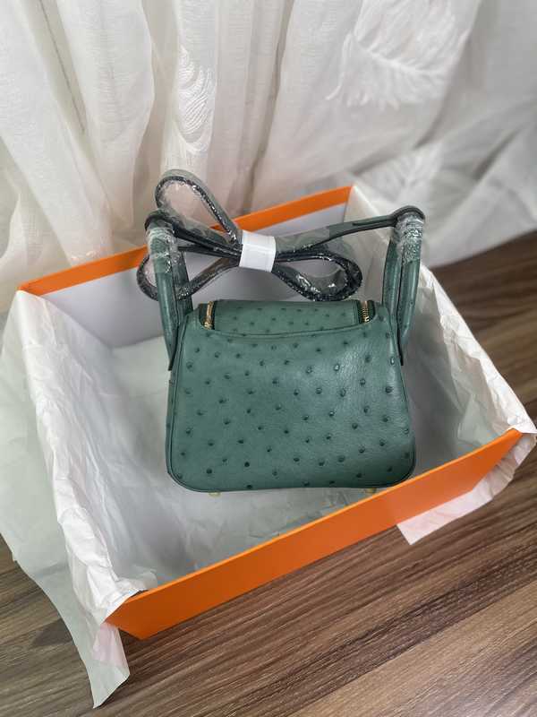 Ostrich Lindy 19 Ostrich Lindy 19