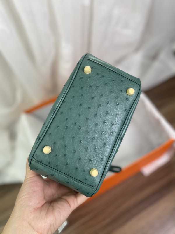 Ostrich Lindy 19 Ostrich Lindy 19