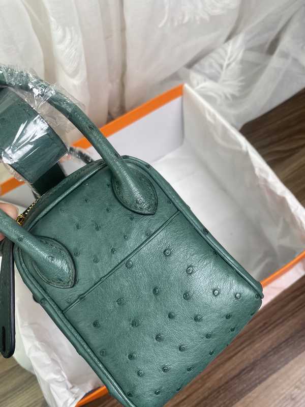 Ostrich Lindy 19 Ostrich Lindy 19