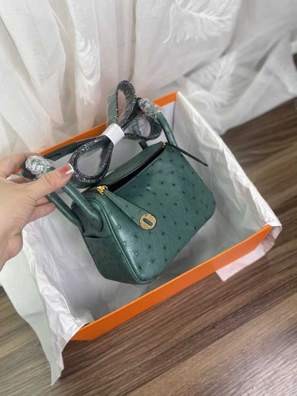 Ostrich Lindy 19 Ostrich Lindy 19