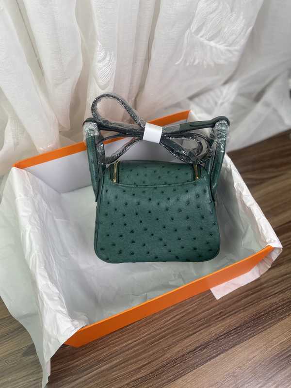 Ostrich Lindy 19 Ostrich Lindy 19