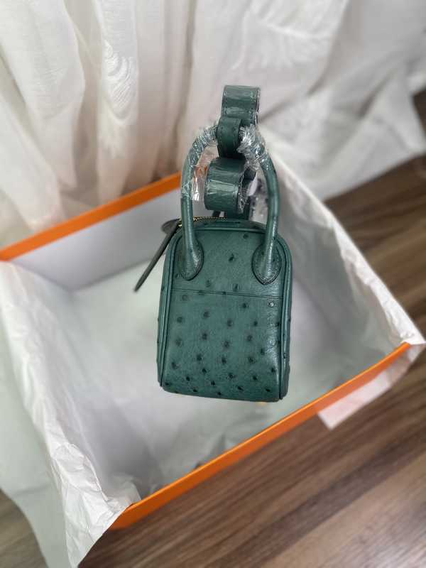 Ostrich Lindy 19 Ostrich Lindy 19