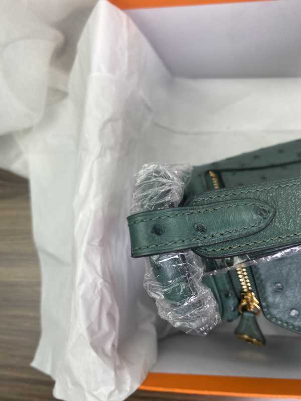 Ostrich Lindy 19 Ostrich Lindy 19