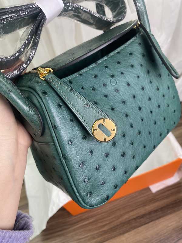 Ostrich Lindy 19 Ostrich Lindy 19