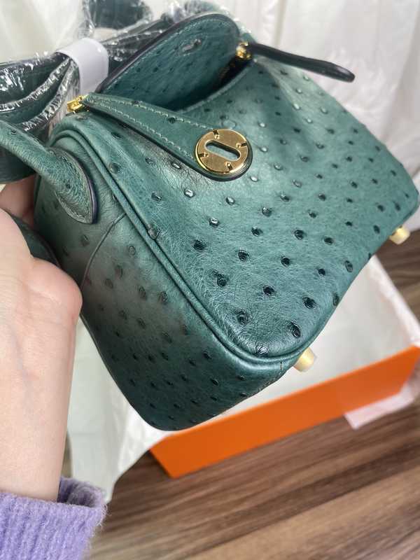 Ostrich Lindy 19 Ostrich Lindy 19