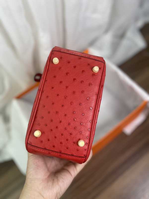 Ostrich Lindy 19 Ostrich Lindy 19