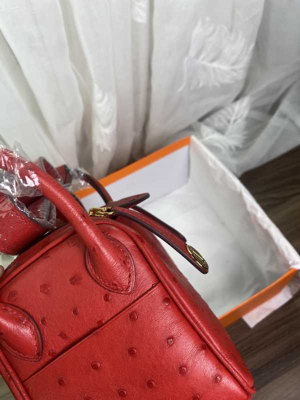 Ostrich Lindy 19 Ostrich Lindy 19