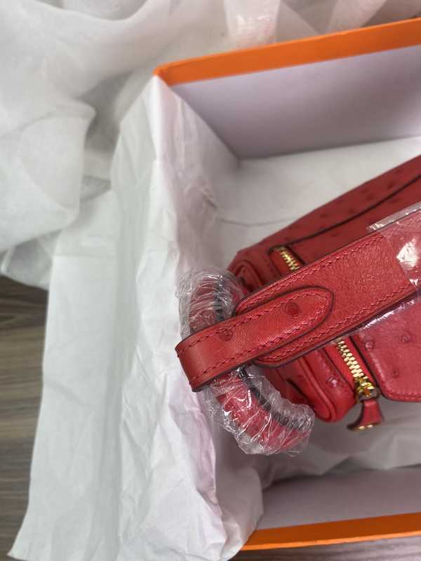 Ostrich Lindy 19 Ostrich Lindy 19