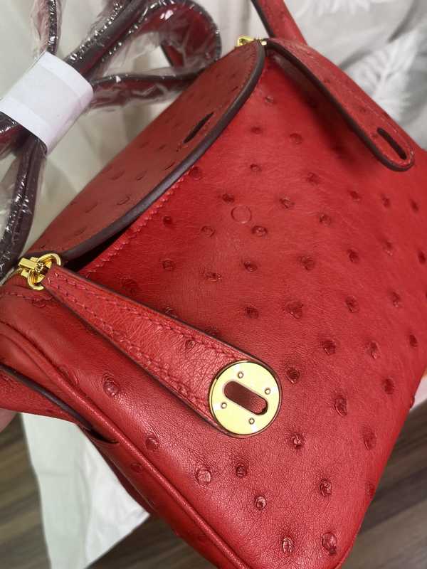 Ostrich Lindy 19 Ostrich Lindy 19