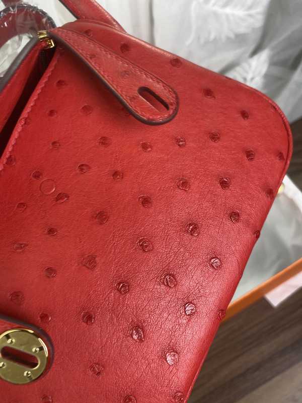 Ostrich Lindy 19 Ostrich Lindy 19