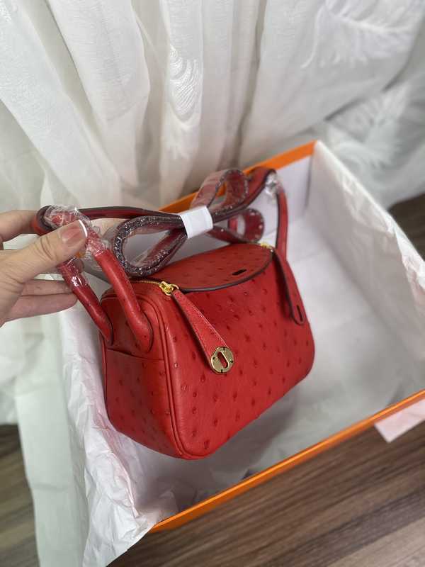 Ostrich Lindy 19 Ostrich Lindy 19