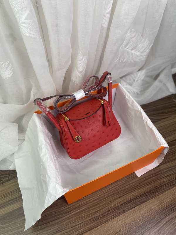 Ostrich Lindy 19 Ostrich Lindy 19