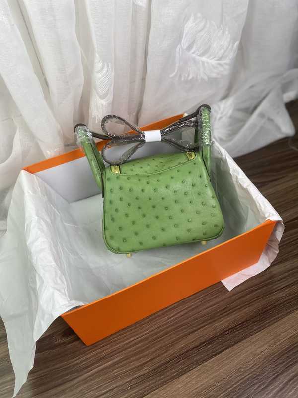 Ostrich Lindy 19 Ostrich Lindy 19