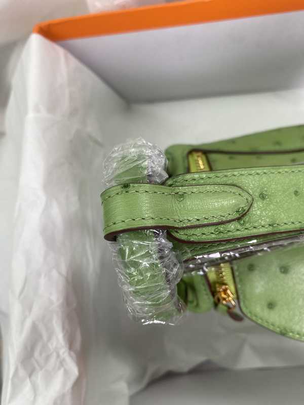 Ostrich Lindy 19 Ostrich Lindy 19