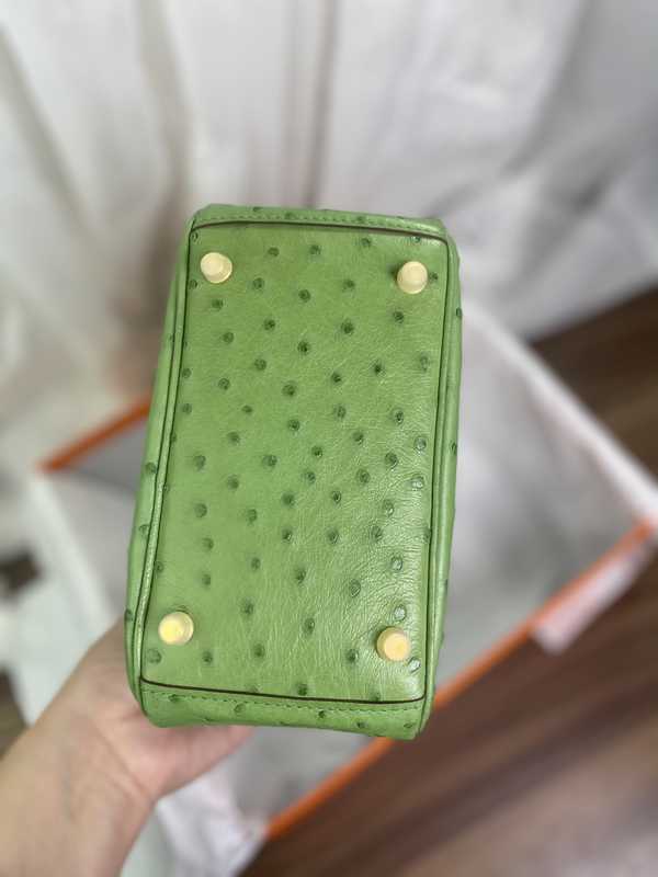 Ostrich Lindy 19 Ostrich Lindy 19