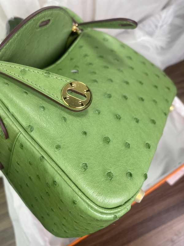 Ostrich Lindy 19 Ostrich Lindy 19