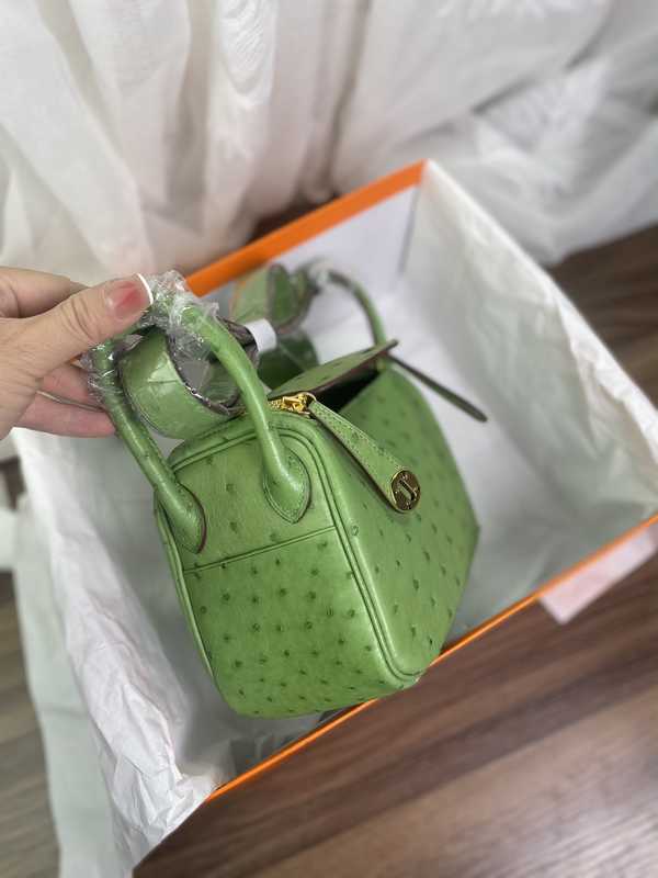 Ostrich Lindy 19 Ostrich Lindy 19