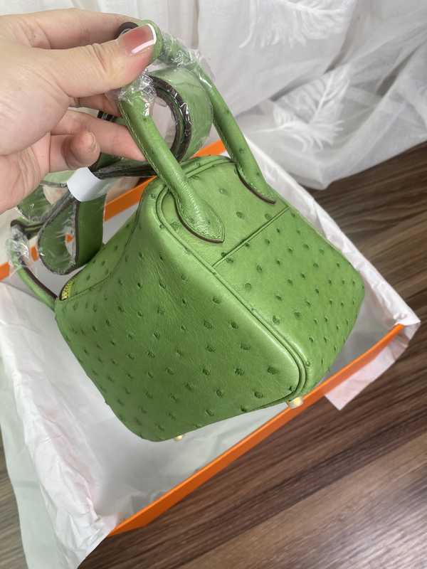 Ostrich Lindy 19 Ostrich Lindy 19