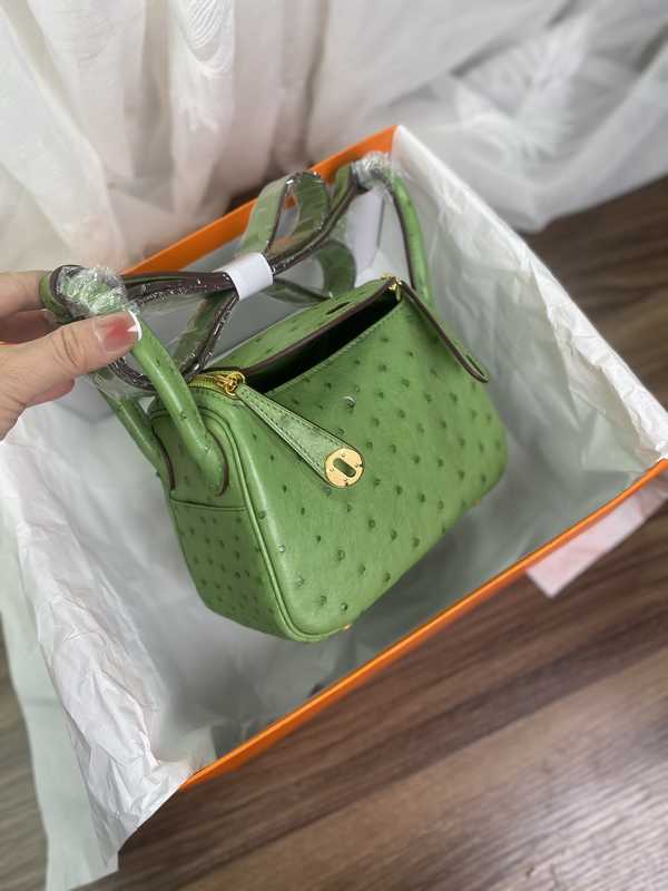 Ostrich Lindy 19 Ostrich Lindy 19